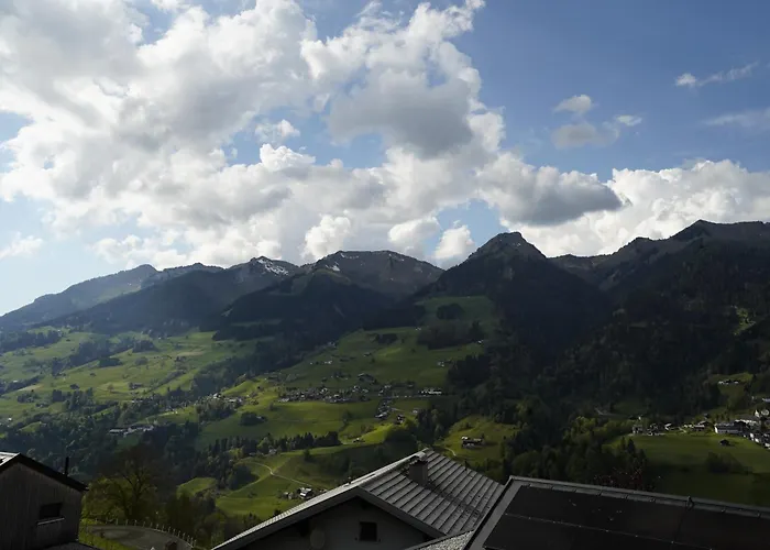 Molto Haus